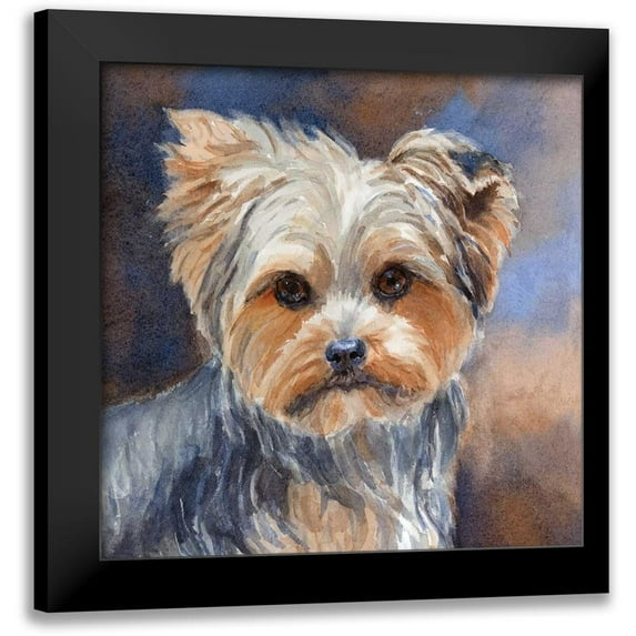 Fagan, Edie 15x15 Black Modern Framed Museum Art Print Titled - Sadie Belle Yorkshire Terrier