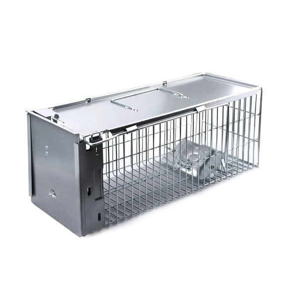 Faicuk Heavy Duty Squirrel Trap Chipmunk Trap Rat Trap and Other Similar-Size Rodents - 16.3 x 6 x 6.7