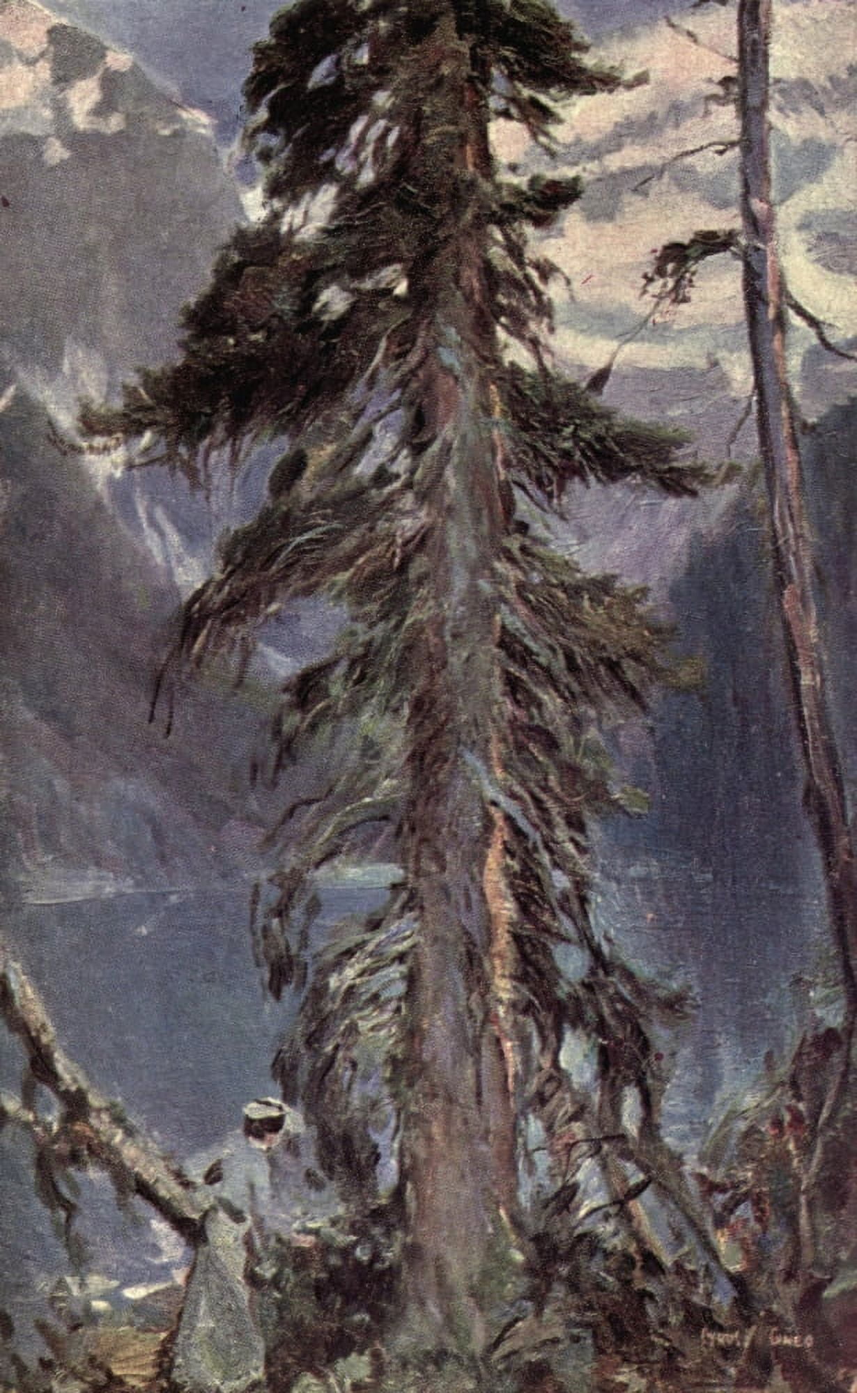 Fair Dominion 1911 A Sentinel of the Rockies Canvas Art - Cyrus Cuneo (24 x 36)