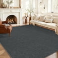 thumbnail image 1 of FairOnly 8'x10'Modern Solid Color Knitted Machine Washable Area Rug Low Pile Pet Friendly Non Slip Indoor Minimalist Rug for Living Room Dining Room,Black Grey, 1 of 8