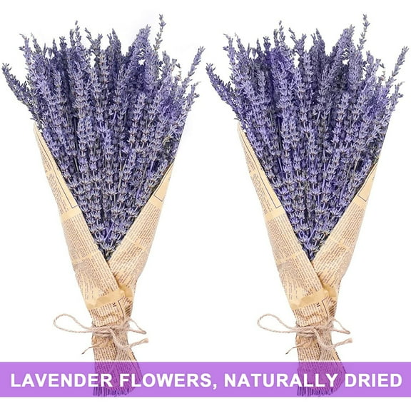 Fairnull 1 Box Natural Dried Lavender Fadeless Sweet Scent No Watering Wedding Decor Bedside Better Sleeping Flower Arrangement Natural Plants