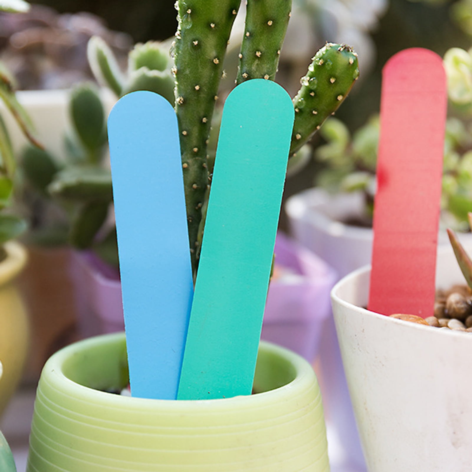 Fairnull 100Pcs Plant Labels High Toughness Antideform Plastic Plant Tags Potted Flower