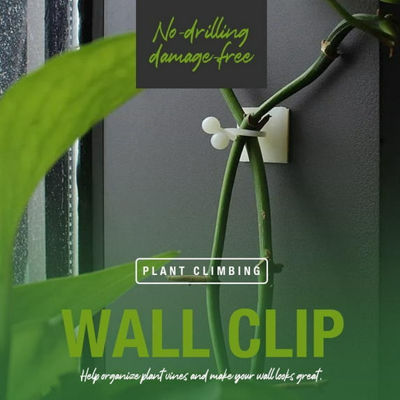 Fairnull 10Pcs/Set Saving Space Plant Clip Drill Free Flexible Climbing Wall Green Plant Fixer Vine Hook for Garden