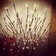thumbnail image 1 of Fairnull Artificial Branch 20LEDs Light Battery Powered Willow Lighted Garden Home Decor, 1 of 10