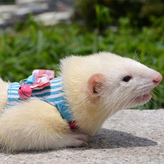 Fairnull Pet Chest Strap Small Adjustable Denim Adorable Pet Traction Rope for Rabbit