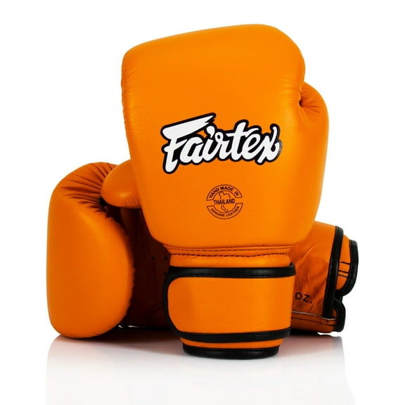 Fairtex BGV16 Leather Muay Thai Boxing Gloves