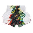 thumbnail image 1 of Fairtex BS1908 Satoru Slim Cut Muay Thai Boxing Short, 1 of 6