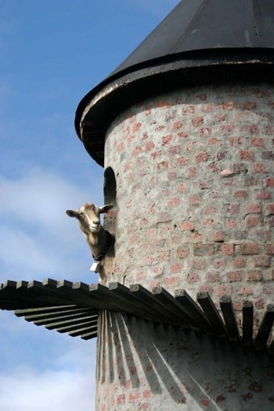 Fairview winery goat tower Paarl South Africa Canvas Art - Julien McRoberts DanitaDelimont (23 x 34)