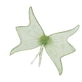 thumbnail image 1 of Fairy Adult Halloween Wings Accessory, 1 of 2