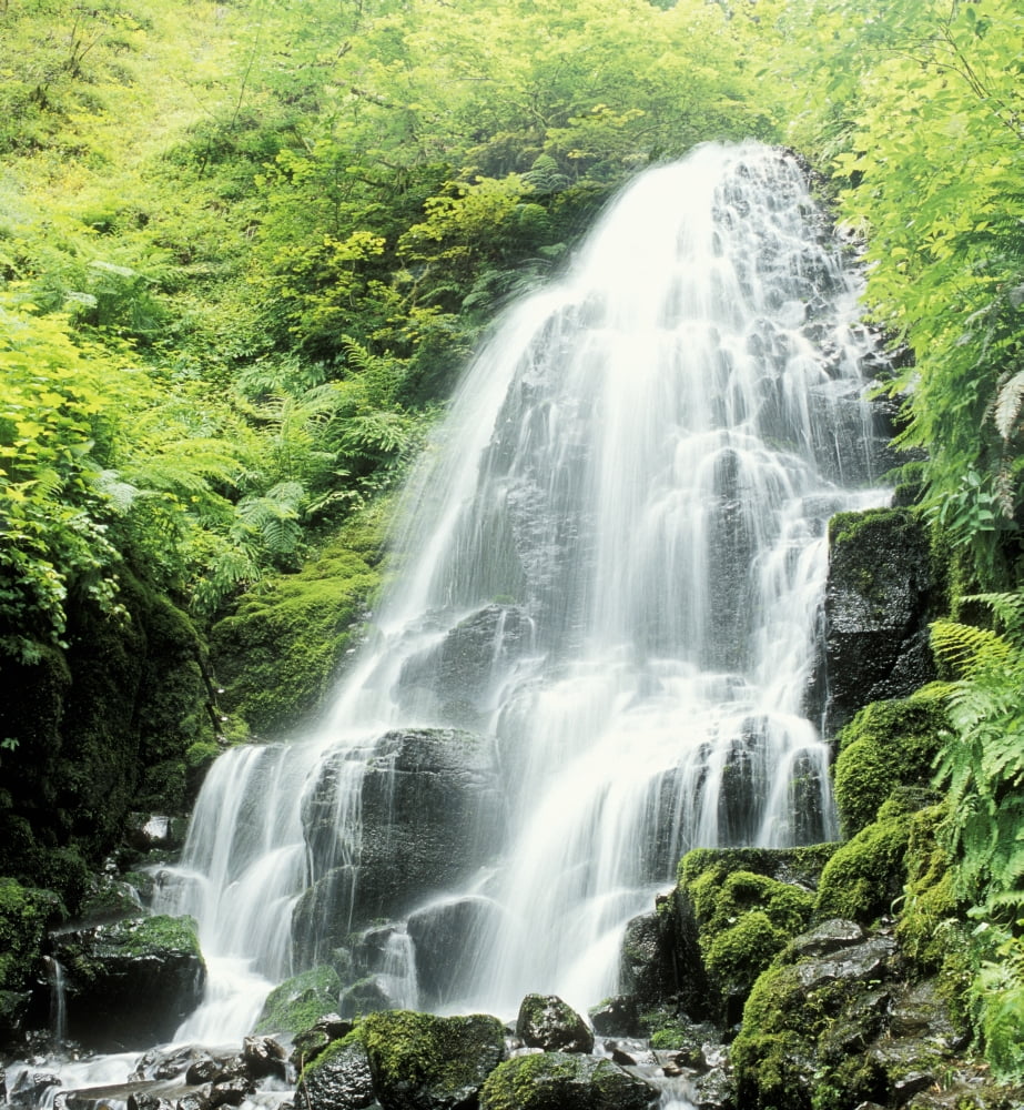 Fairy Falls Columbia River Gorge Oregon Usa Canvas Art - Dan Sherwood Design Pics (16 x 17)