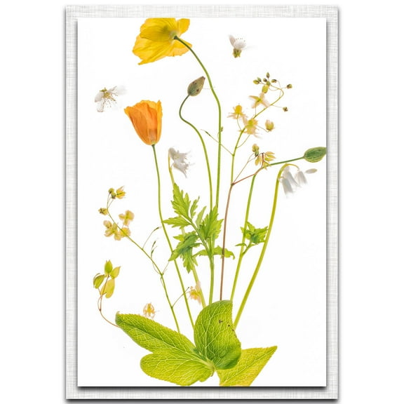 Fairy Garden Parchment Frame