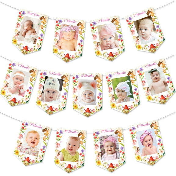 Fairy Happy Birthday Banner, Fairy Birthday Decorations, 1st Birthday Photo Banner for Baby from Newborn to 12 Months, Fairy Happy Birthday Banner, 1st Birthday Decorations Monthly Milestones Garland