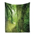 thumbnail image 1 of Fairy Soft Flannel Fleece Throw Blanket, Enchanted Forest Photograph with Trees Pathway to Adventure Nature Wild, Cozy Plush for Indoor and Outdoor Use, 50" x 60", Green, by Ambesonne, 1 of 5