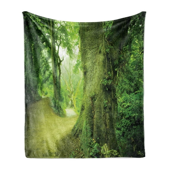 Fairy Soft Flannel Fleece Throw Blanket, Enchanted Forest Photograph with Trees Pathway to Adventure Nature Wild, Cozy Plush for Indoor and Outdoor Use, 70" x 90", Green, by Ambesonne