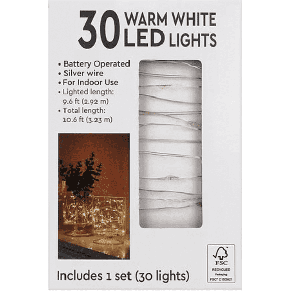 Fairy String Silver Wire LED Lights 30, 1 Set, 10.6 ft., Battery Operated