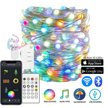 DELight 33 Ft Fairy String Lights 100 Led RGB lights 20 colors with ...