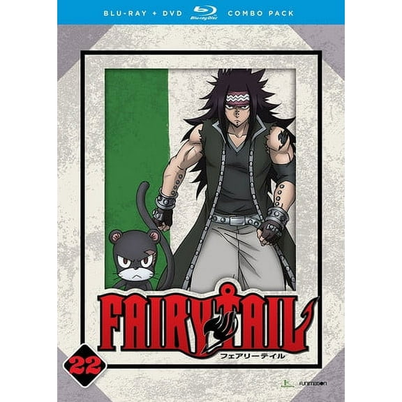 Fairy Tail - Part Twenty Two (Blu-ray + DVD), Funimation Prod, Anime