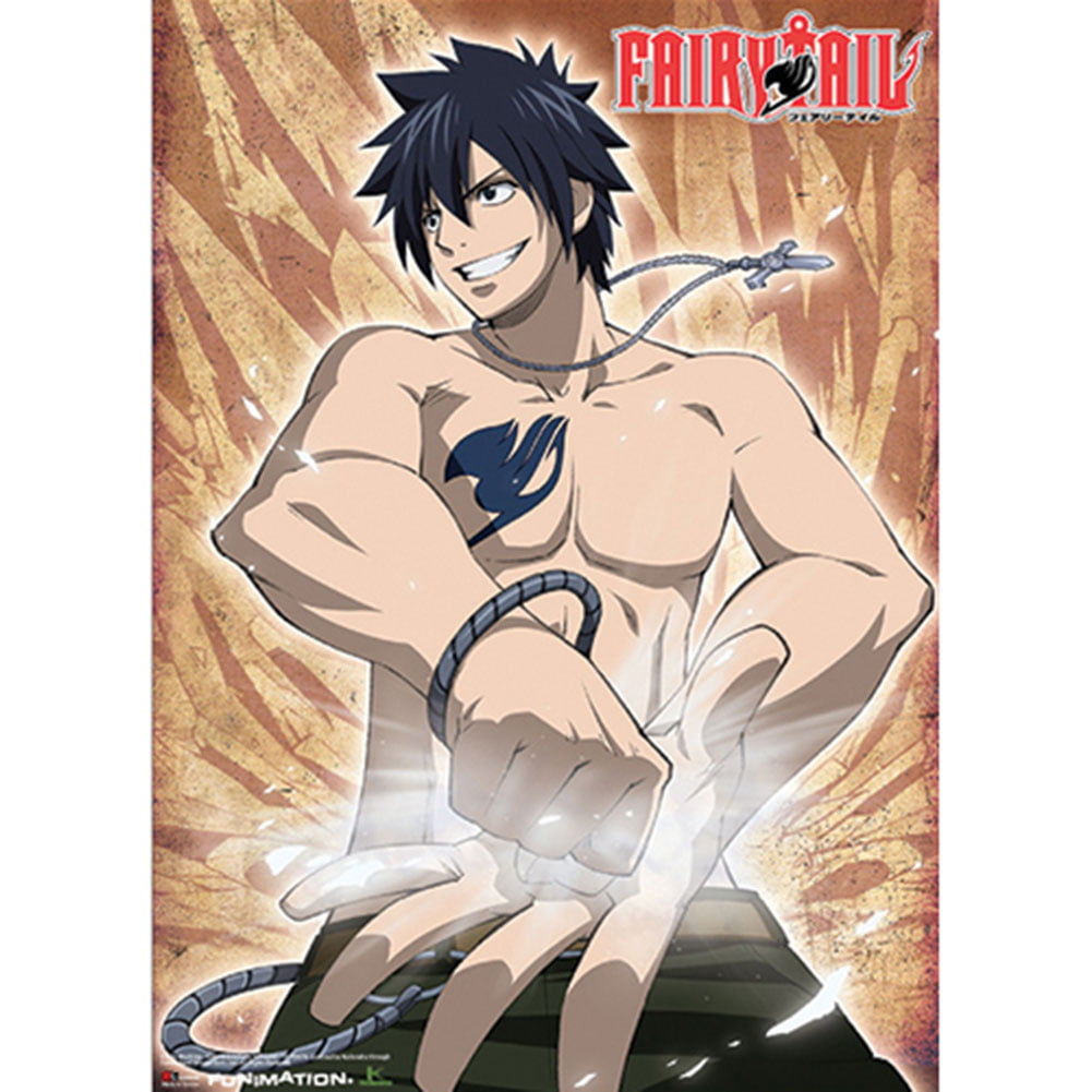 Fairy Tail Anime Flag 70 x 100cm Wall Scroll