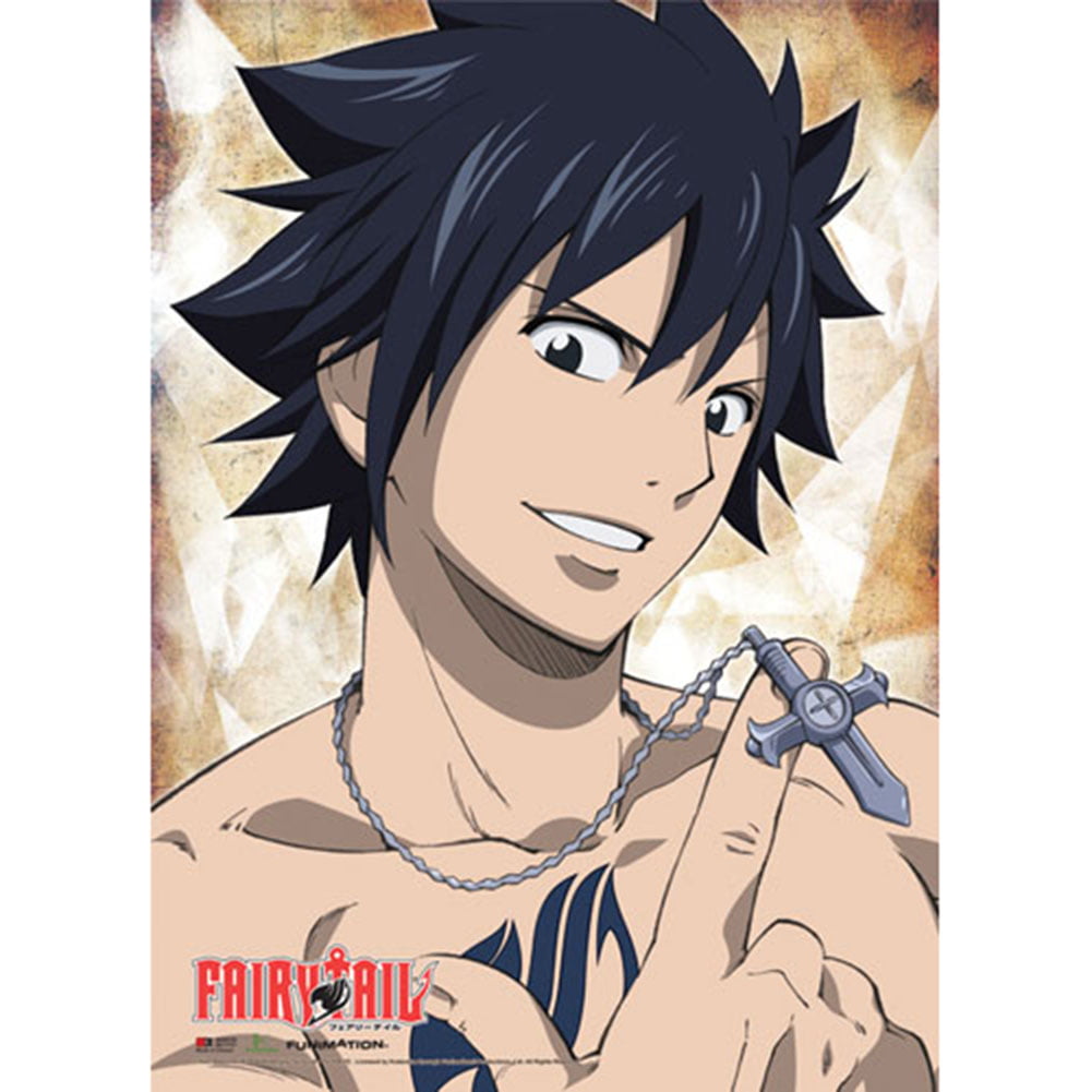  POSTER STOP ONLINE Fairy Tail - Manga/Anime TV Show  Poster/Print (Character Grid) (Size 24 x 36): Posters & Prints