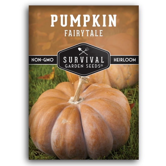 Fairy Tale Pumpkin Seeds - Full Sun Annual Vegetable - 1 Pack