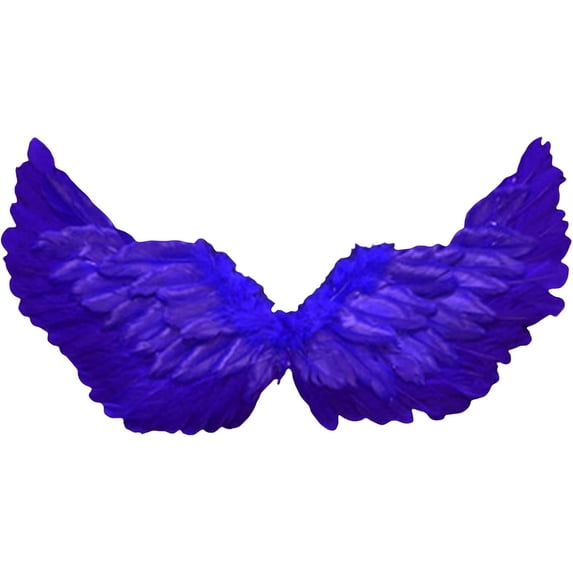 Fairy Wings Feather Wings with Elastic Straps Costume Photography Props Halloween Supplies, Costume Wingss, Accessories for Theme Party, Christmas Costume