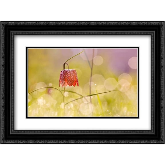 Fairy World I 2x Matted 24x18 Black Ornate Framed Art Print by Raimond, Roeselien
