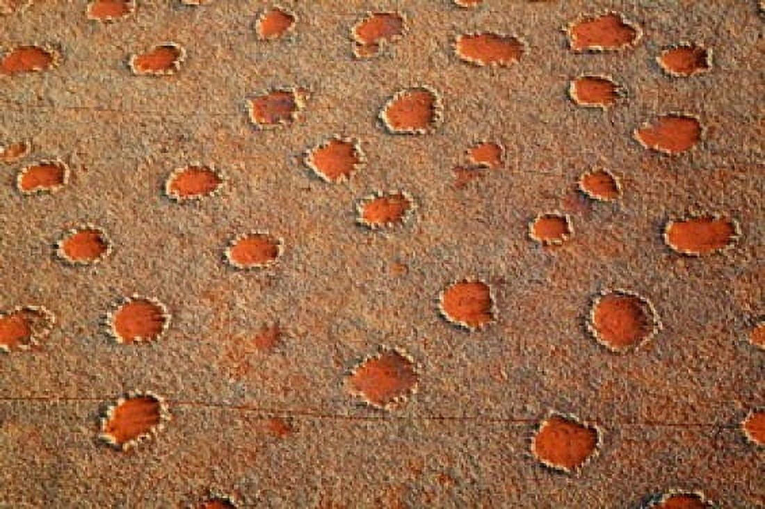Fairy circles dotting the landscape of the Namib-Rand Nature Reserve Sossusvlei Nambia Canvas Art - Kymri Wilt DanitaDelimont (34 x 23)
