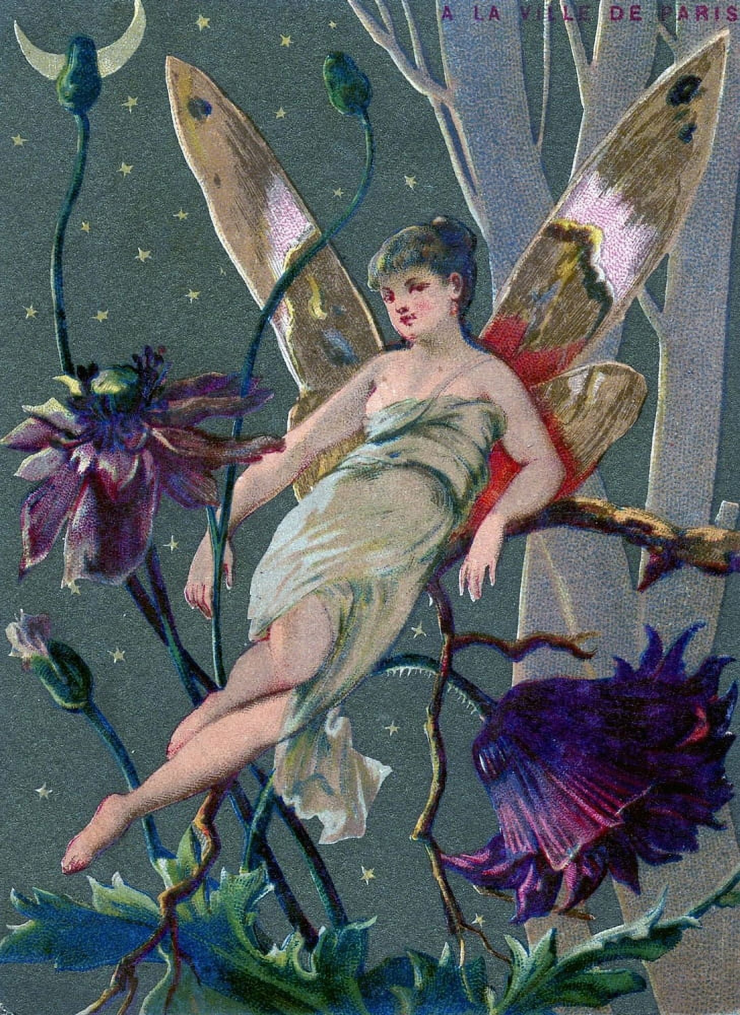Fairy in undergrowth c1880 Canvas Art - Unknown (24 x 36)