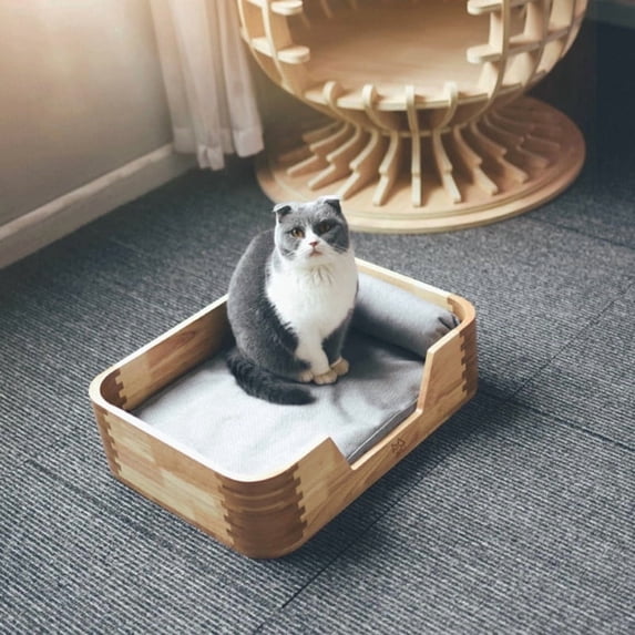 Fairela Small Removeable Cover Elevated Cat Bed with Removable Cushion, Gray