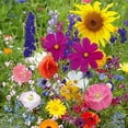 thumbnail image 1 of CZ Grain 200 Fairytale Wildflower Mix Flower Seed, 1 of 2