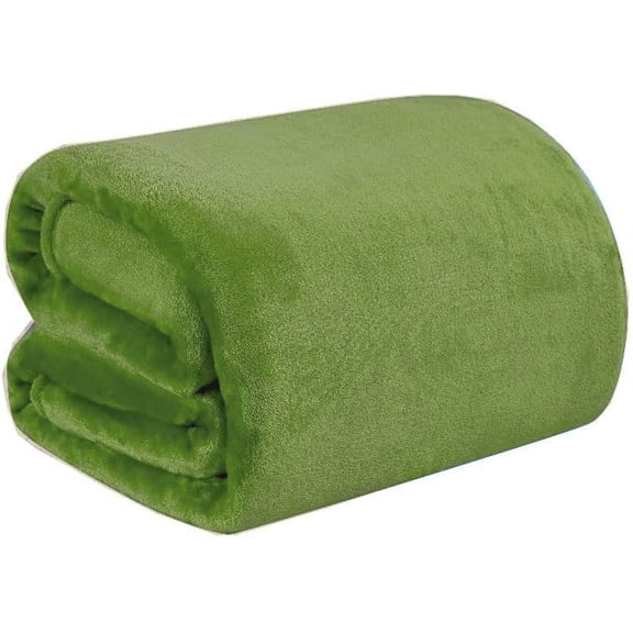 Faith, Hope, Love Home Décor Ultra Lush Twin Size Solid Microplush Blanket (66" X 86") - GREEN