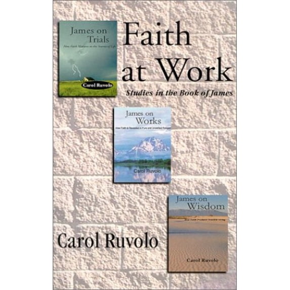 Pre-Owned Faith at Work (Paperback) 0965880435 9780965880435