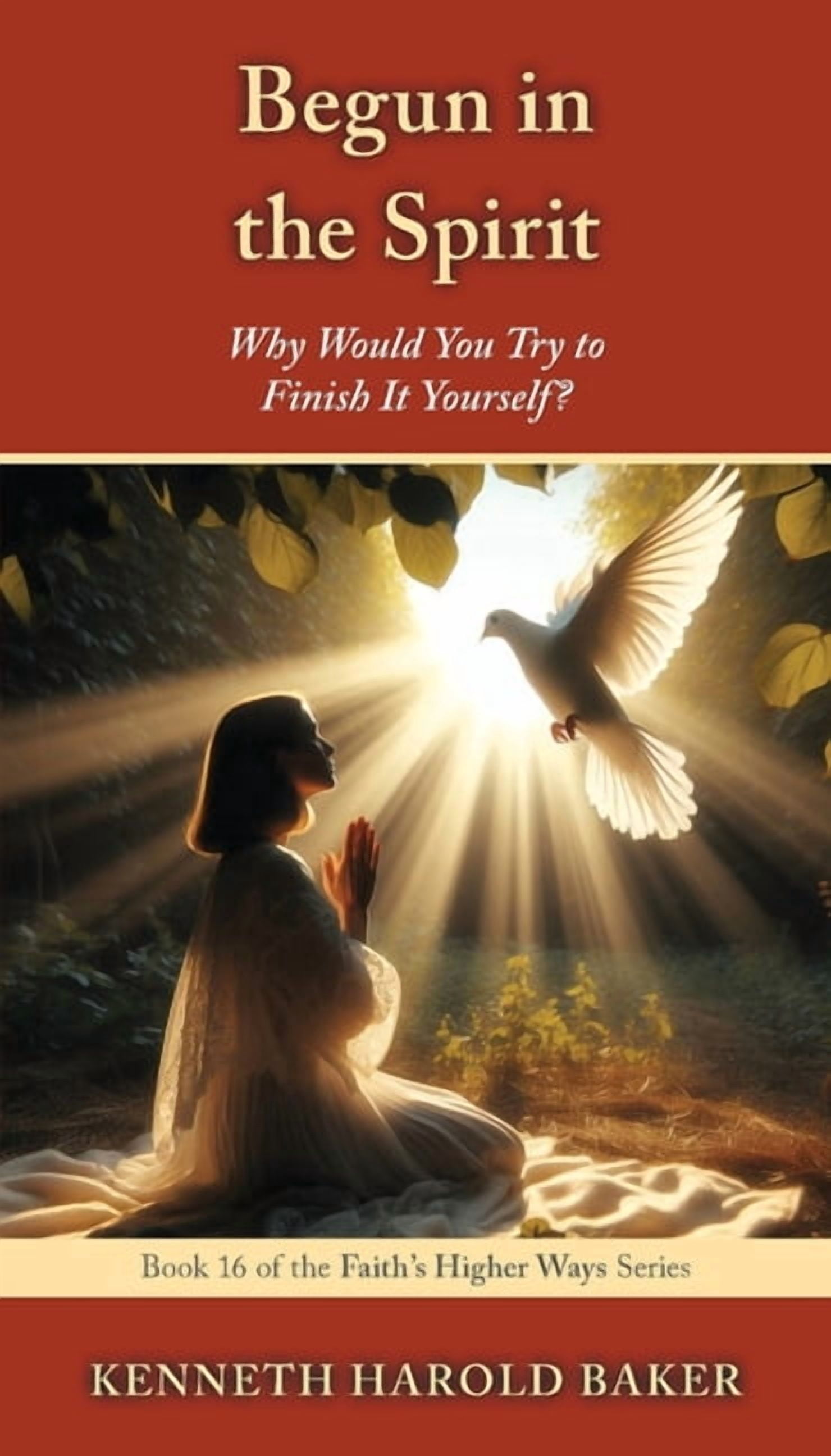 Faith's Higher Ways Begun in the Spirit: Why Would You Try to Finish It Yourself?, Book 16, (Paperback)