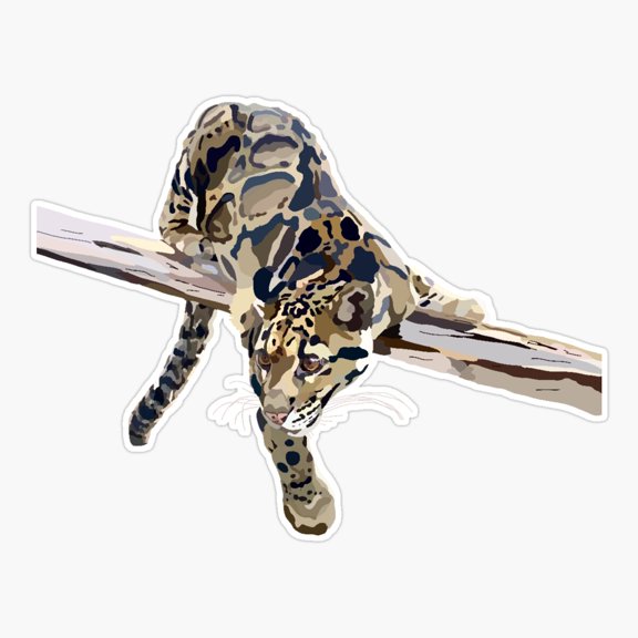 Faith the Clouded Leopard Sticker