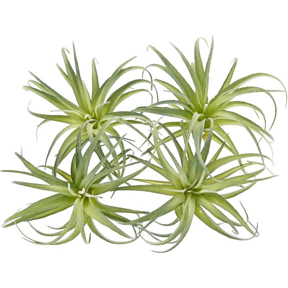 Fake Artificial Tillandsia Air Plants, 4pcs Flocked Green Faux Bromeliads for Home Decor Realistic Stems (Medium)