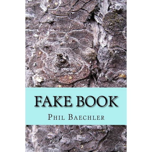 Fake Book: Afterlife Adventures of Real Ghosts (Paperback)