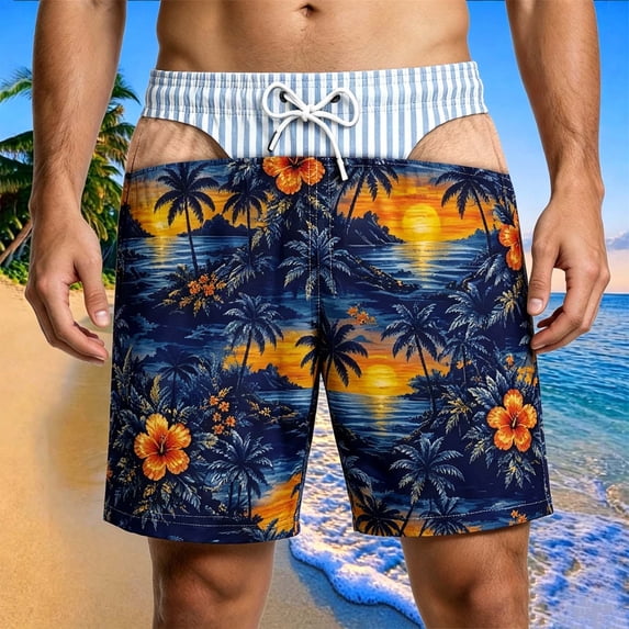 Briefs Board Shorts Funny Swim Trunks for Men Boardshorts 3d Graphic Hawaii Beach Shorts Summer Fun Gift