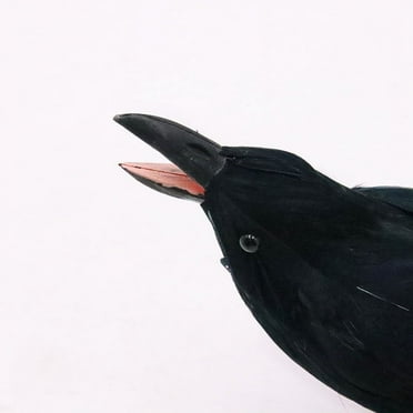 Fake Crow Feathered Black Crows - Lifesize Large Realistic Artificial Crow Flying Crow 10Inch - Artificial Bird Raven Simulation Crow for Halloween Decorations Party Props