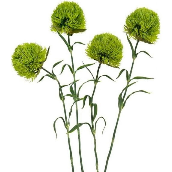 Fake Dianthus Artificial Greenery Stem Realistic Green Tricks for Home Kitchen Wedding Courtyard Decoration(Light Green)