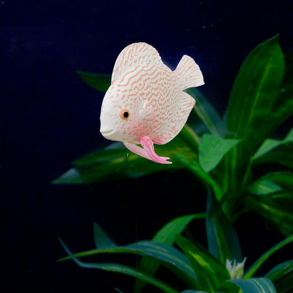 Fake Floating Goldfish – Realistic Artificial Aquarium Fish, Plastic Moving Fish Ornament for Fish Tanks, Bath Toys for Kids