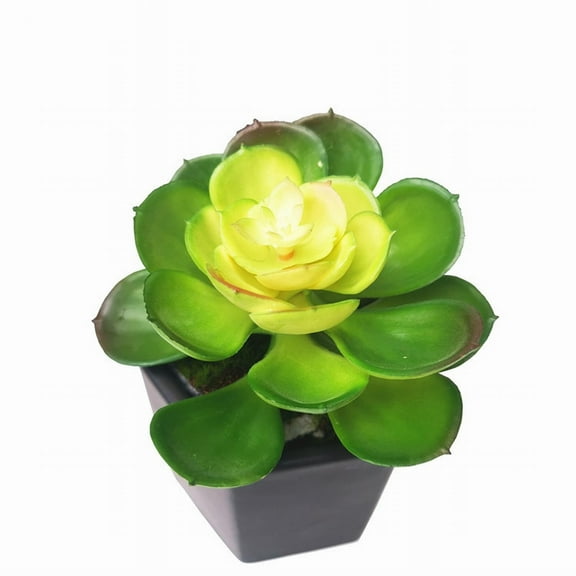 Fake Flower Bouquet Artificial Succulent Artificial Flower Artificial Greenery Plant Faux Cactus Realistic Succulent Arrangements For Home Decor Horticultural Design Party Accessories,Green Hous
