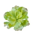 thumbnail image 1 of Fake Flower Bouquet Plastic Artificial Queen Of Flowers Simulation Artificial Succulent Plants For Home Decoration Garden Wall Arrangement,White Household Imitation, 1 of 8