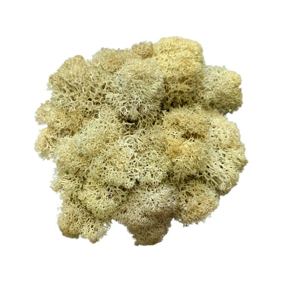 Fake Flower Green Moss Grass for Potted Plants Indoor, Artificial Moss for Crafts, Decor forGarden, DIY Decorative, For Home Living Room Decorative Wall Flower Colorful Accessories Clearance