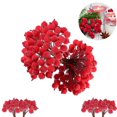 thumbnail image 1 of Fake Flower Stamens,QZS Artificial Flower Stamen Kit,Portable Mini Fruit Berry Flower Fall Decor for Christmas,Craft,DIY Wreaths Use, 1 of 6