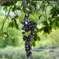 thumbnail image 1 of Fake Grapes, 1 Bunches Plastic Fake Fruit, Lifelike Grapes Artificial Simulation Fruits for Wedding Home Kitchen Party Decor Photography Prop, 1 Pcs, 5.11 Inches, 1 of 8