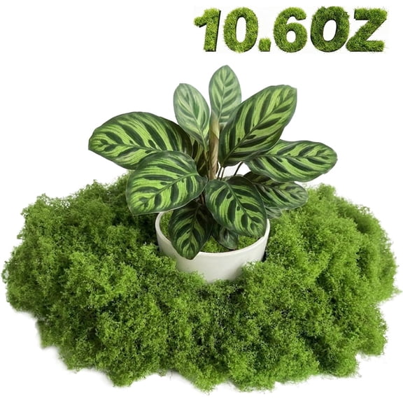 Fake Green Moss - Artificial Moss for Plants Indoor, Faux for Crafts, DIY Fairy Garden Decor, Potted Plant Wedding Centerpieces, Table & Wall Decoration (10.6 OZ)