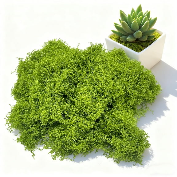 Fake Green Moss for Plants Indoor, Fake Moss Decor Potted Plants for DIY Decorative moss Table Centerpieces Decor Fairy Garden Floral Wedding, 50g Light Green