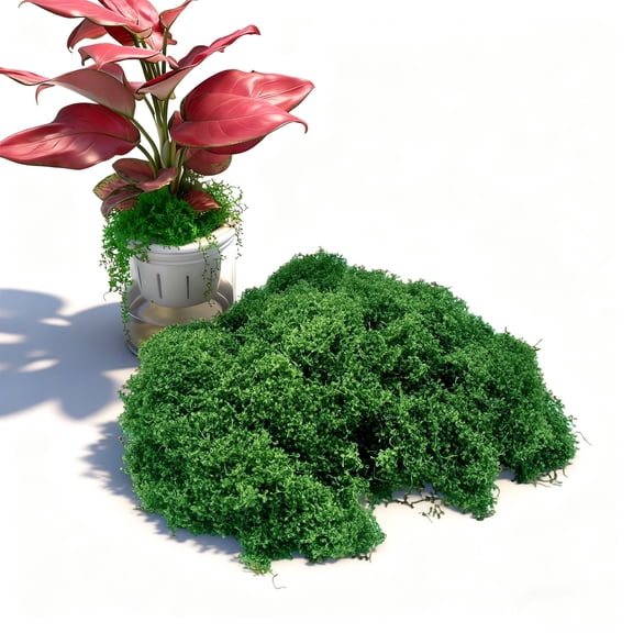 Fake Green Moss for Potted Plants, Artificial Moss, Preserved Moss for DIY Decorating Craft Art Potted Wedding Accessories Fairy Garden Accessories, 1.76oz