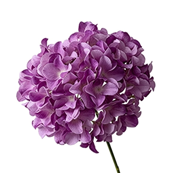 Fake Hydrangea Artificial Flowers, Ongmies Faux Silk Hydrangeas Flowers Heads with Stems Real Touch for Home Wedding Party Table Decor