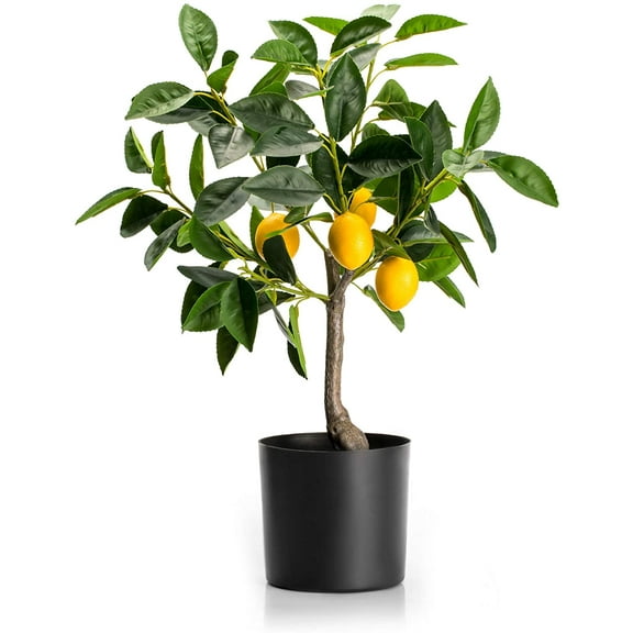 Fake Lemon Tree 19"- Bonsai Tree Indoor with Pot Farmhouse Home Decor Living Room Kitchen Shelf Office Desk Bathroom Table Mini Outdoor Tree Faux Plant Porch Lemon Decor Floor Plant Tall